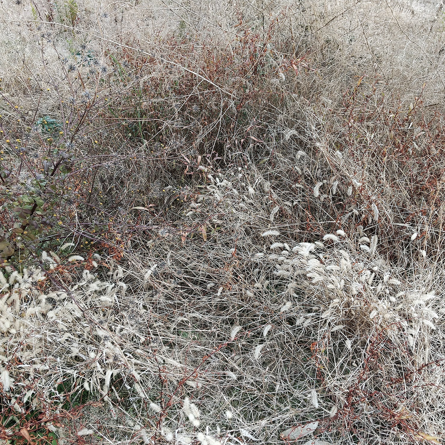 次の新刊を編集中