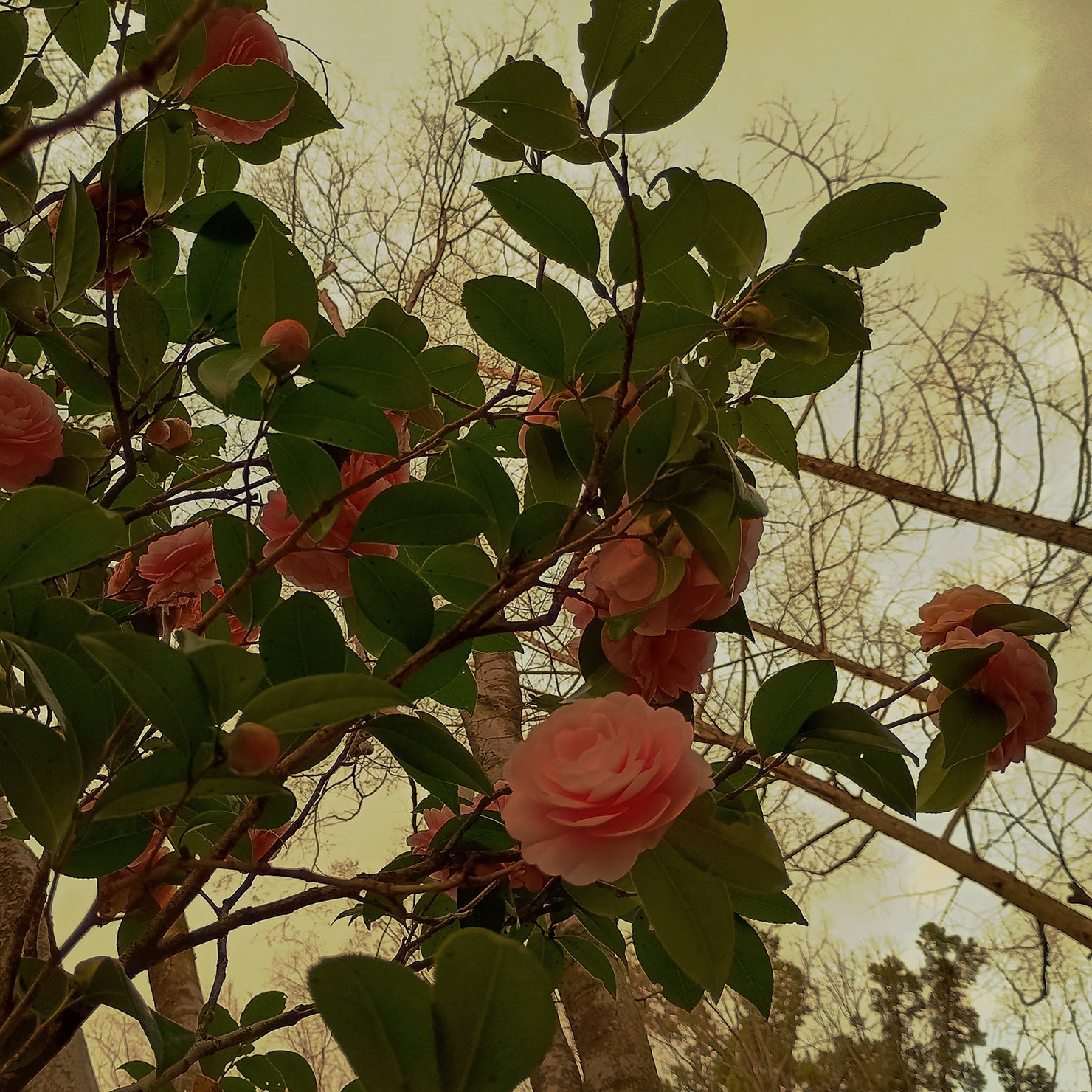 Goodbye Winter, Hello Spring, 2025