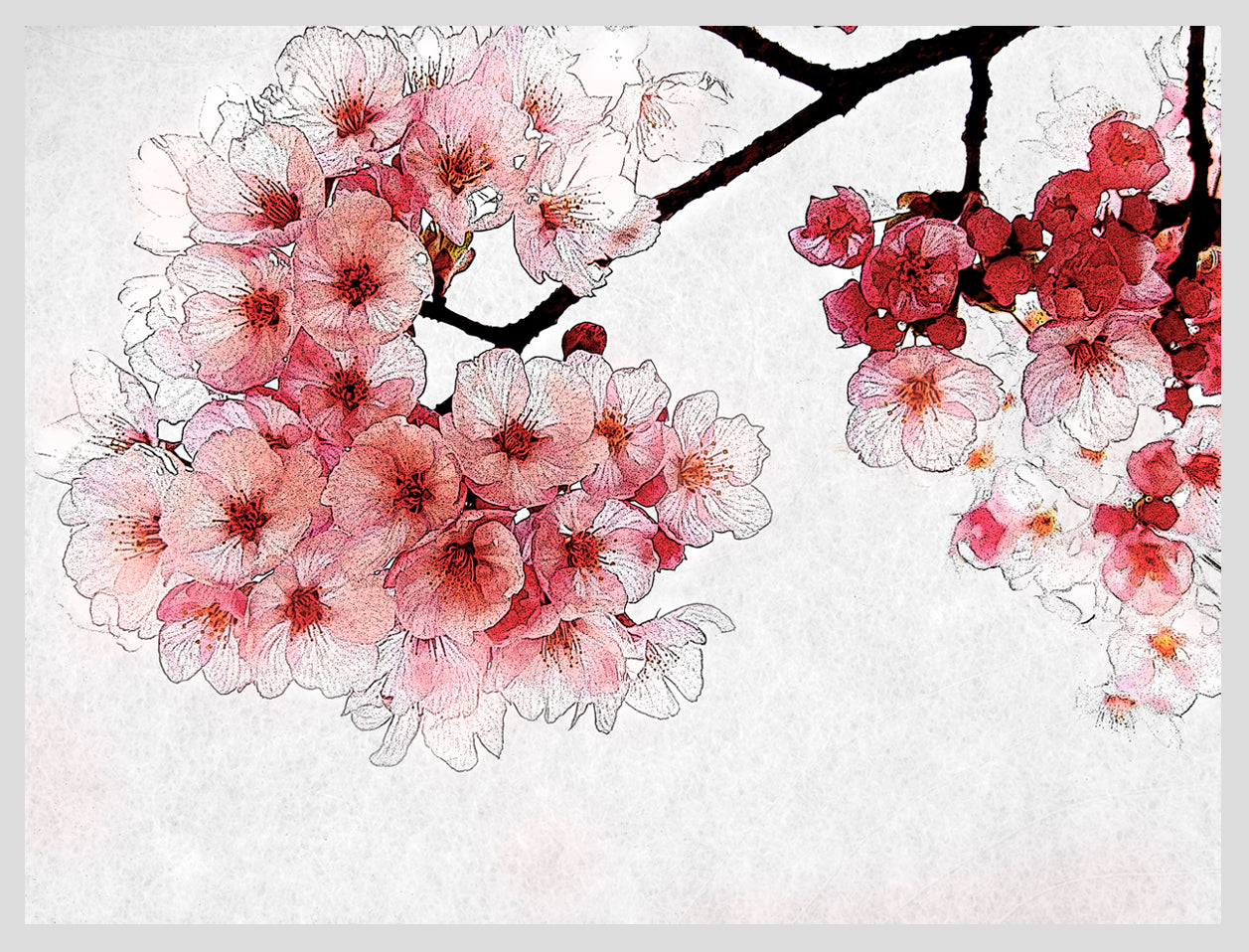 季節のかわりめの、涼やかさ。 2021年3月25日