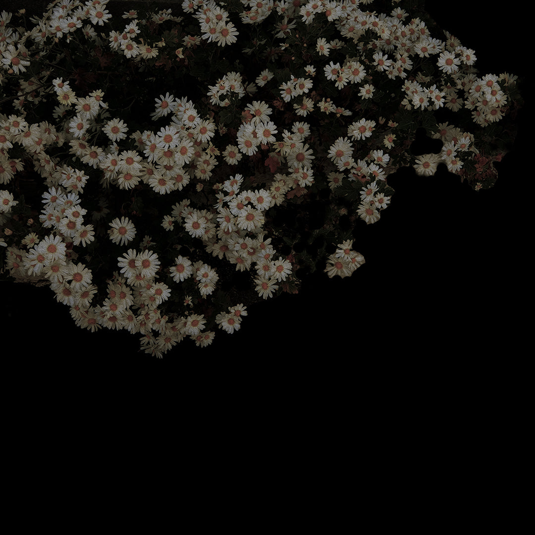 試作:写真 + アクリル絵の具