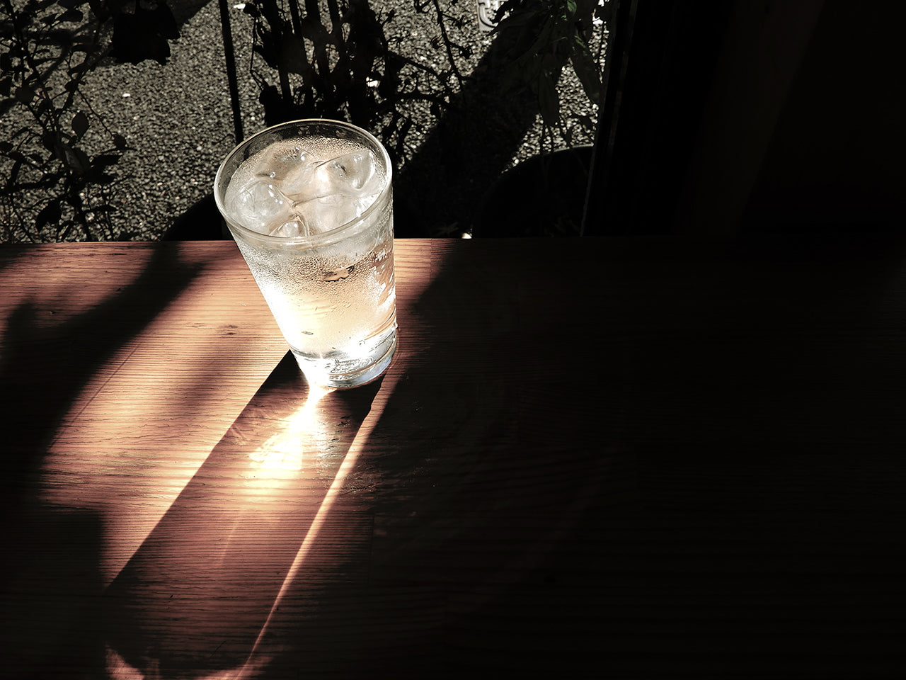 通常営業しております(2023年 8月)