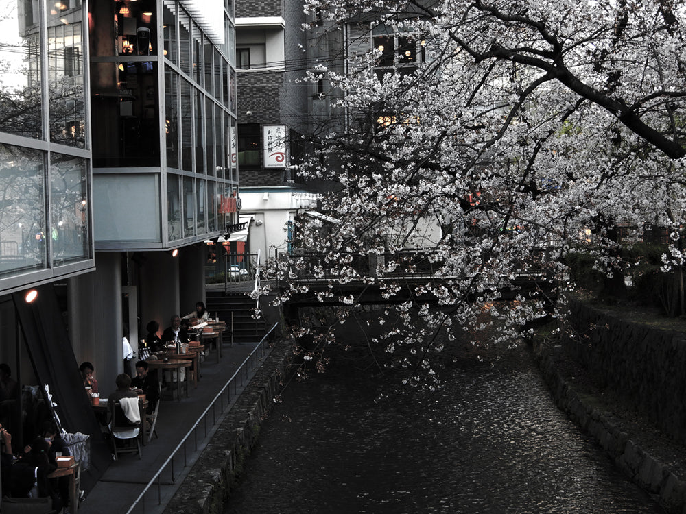 雨あがりの夕暮れ 木屋町三条