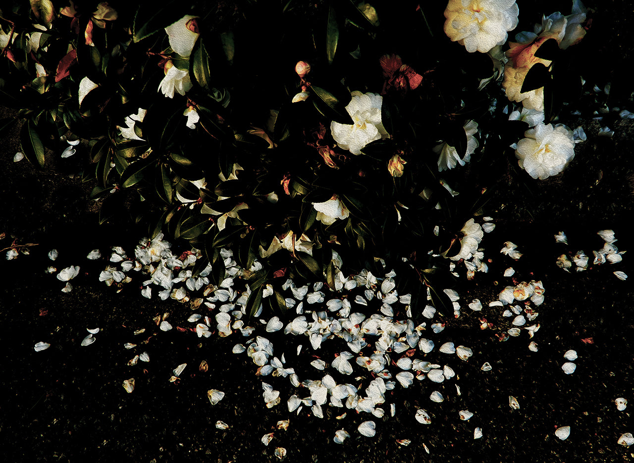 試作(写真とアクリル絵の具)