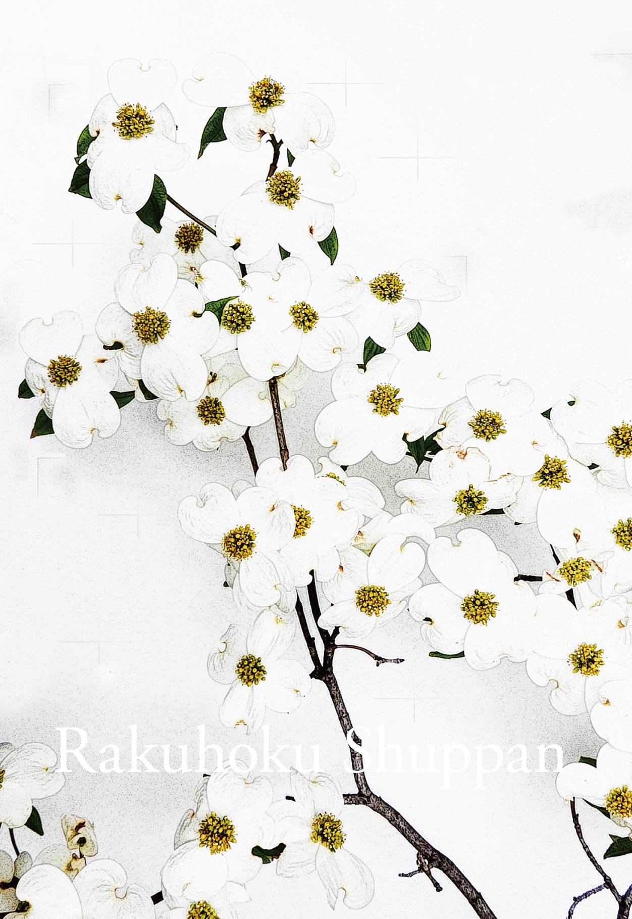 ポストカード 2022年後半のバージョン 洛北出版