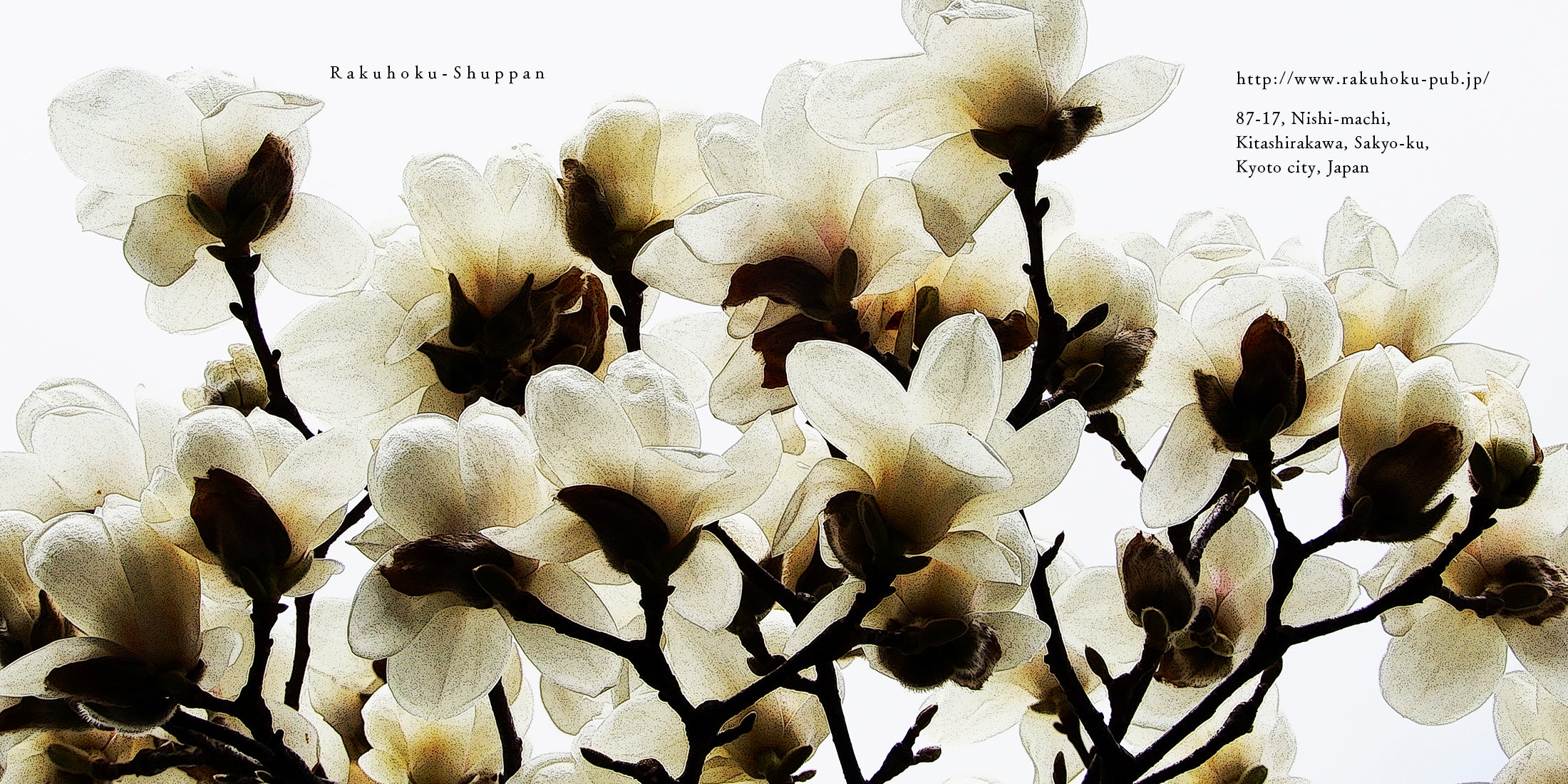 洛北出版オンラインストア、トップ3