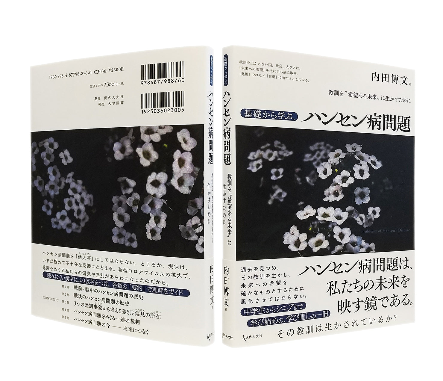 装幀のみ担当。『基礎から学ぶ、ハンセン病問題』、内田博文 著