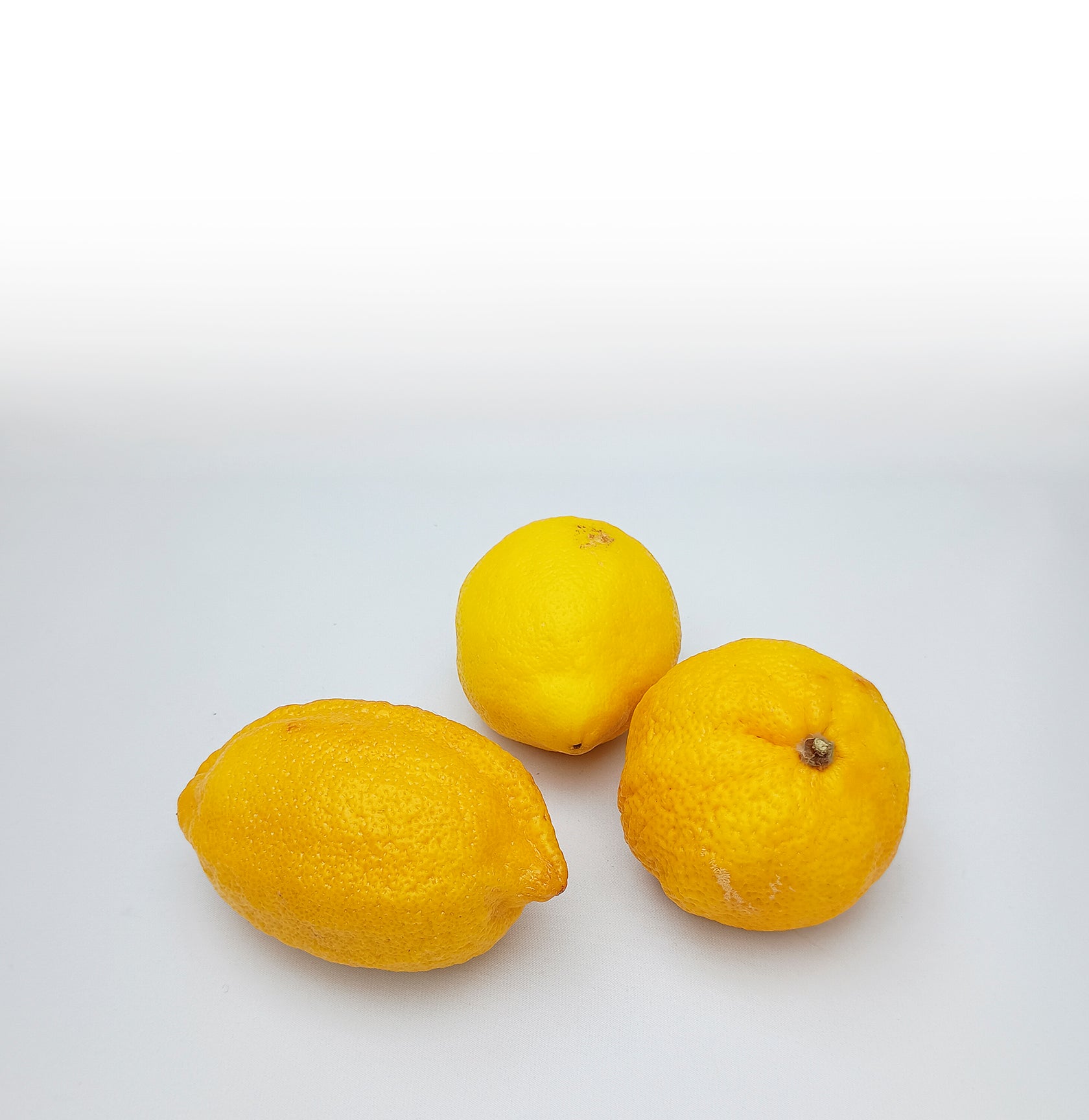 『日常的抵抗への招待――後期新自由主義における子どもと教育』　桜井智恵子