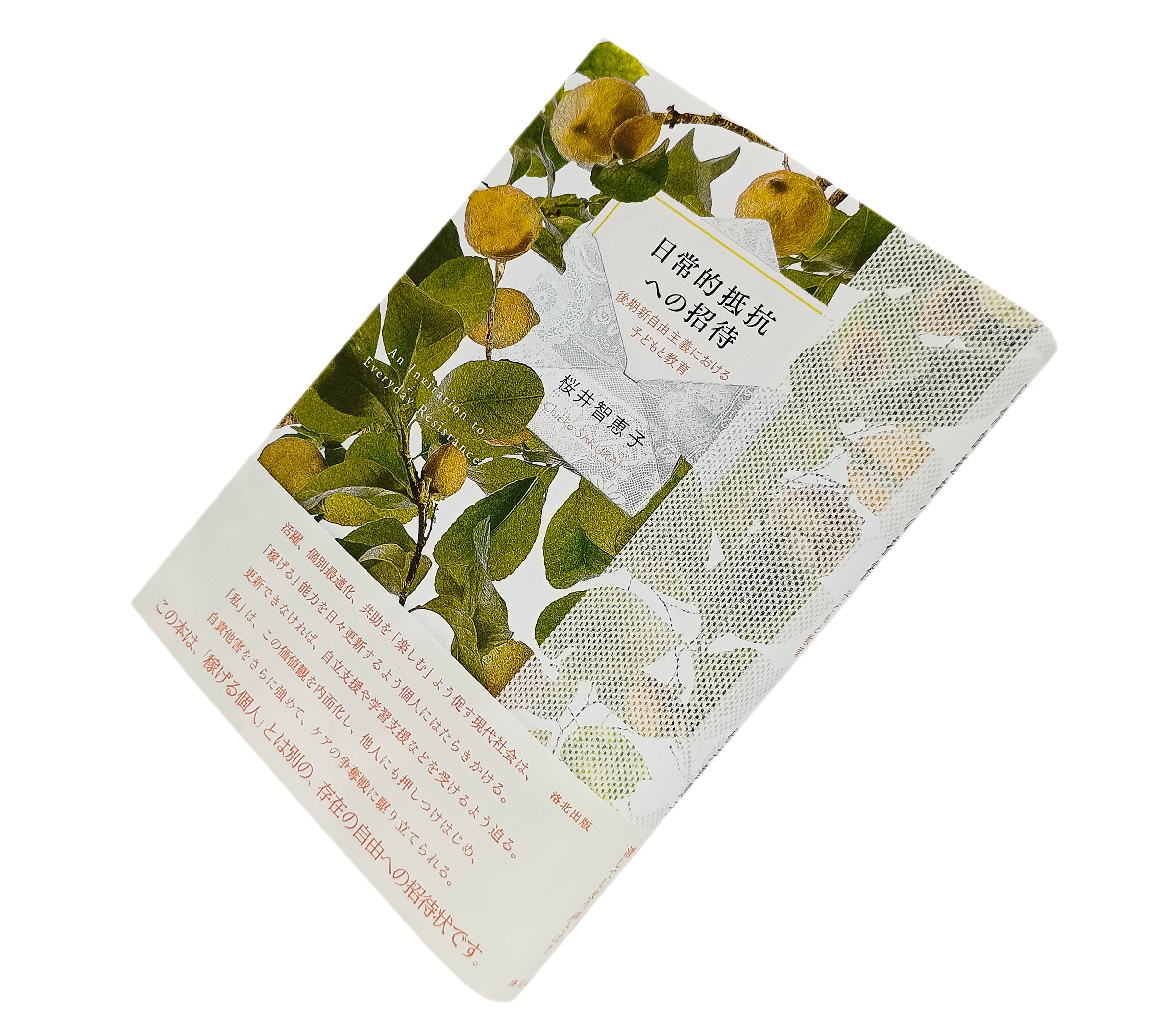 『日常的抵抗への招待――後期新自由主義における子どもと教育』　桜井智恵子