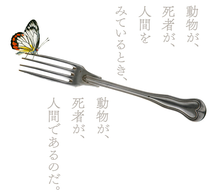 『食人の形而上学――ポスト構造主義的人類学への道』、ヴィヴェイロス・デ・カストロ、洛北出版