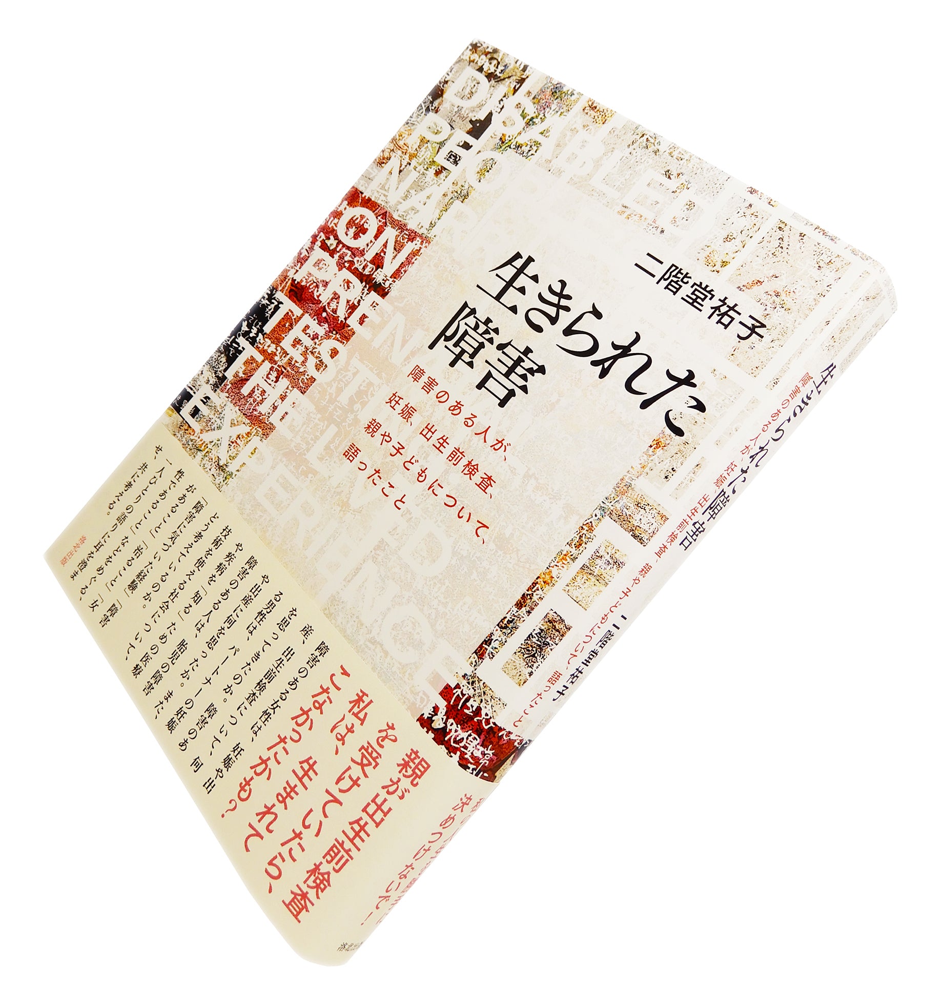 『生きられた障害――障害のある人が、妊娠、出生前検査、親や子どもについて、語ったこと』