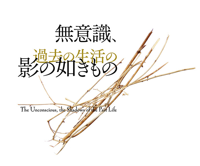 『言語伝承と無意識――精神分析としての民俗学』、岡安裕介、洛北出版